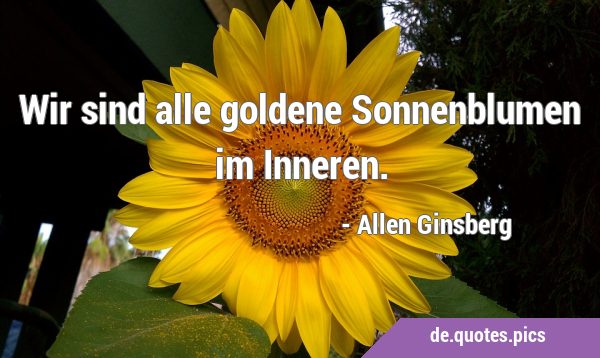 Wir sind alle goldene Sonnenblumen im …